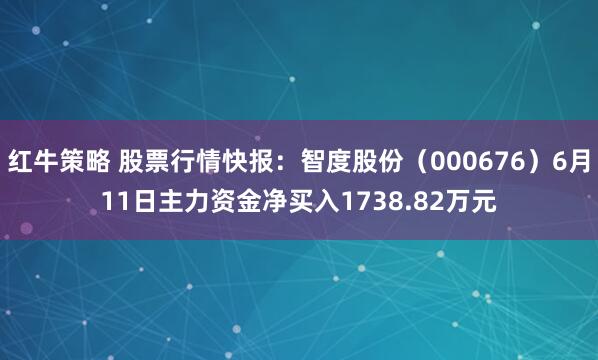 红牛策略 股票行情快报：智度股份（000676）6月11日主力资金净买入1738.82万元