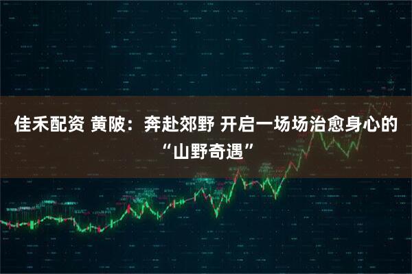佳禾配资 黄陂：奔赴郊野 开启一场场治愈身心的“山野奇遇”