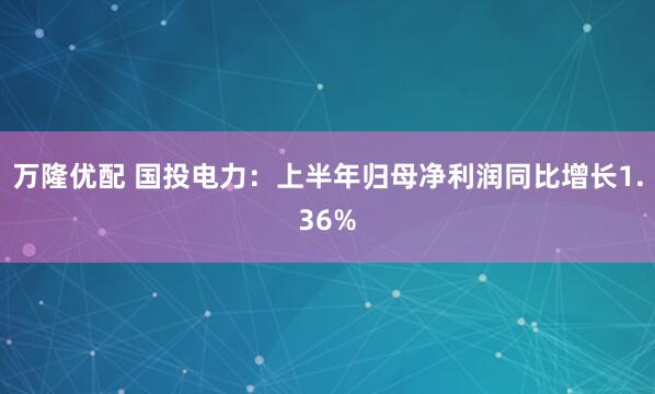 万隆优配 国投电力：上半年归母净利润同比增长1.36%