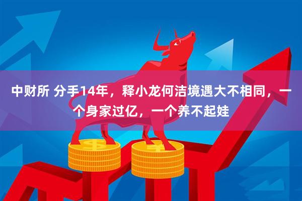 中财所 分手14年，释小龙何洁境遇大不相同，一个身家过亿，一个养不起娃