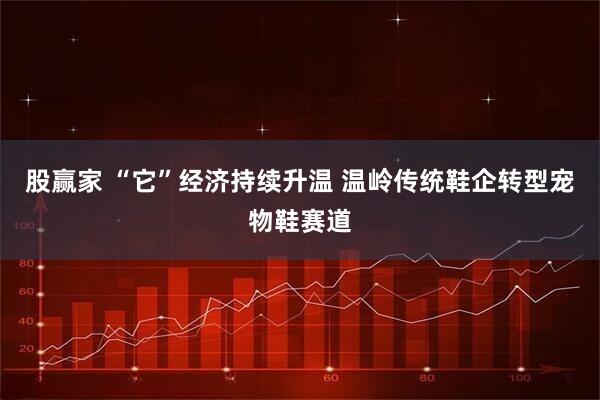 股赢家 “它”经济持续升温 温岭传统鞋企转型宠物鞋赛道